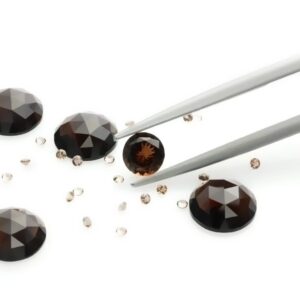 SIAMITE MARRONE CIOCCOLATO